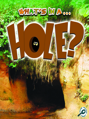 cover image of Hole